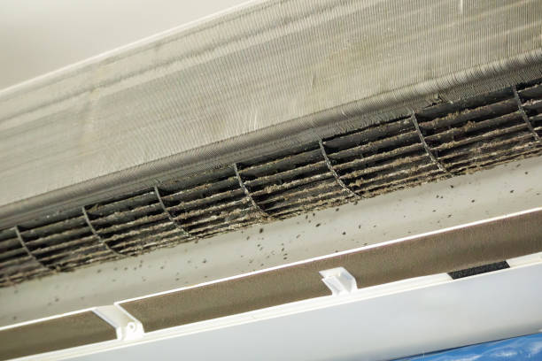 Best HVAC Air Duct Cleaning  in South Jacksonvle, IL